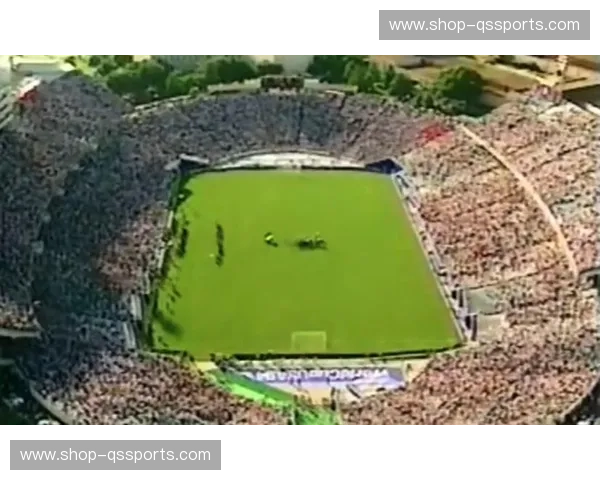 燃情2002：斗牛士的遗憾，太极虎的奇迹——一场改写足球史的夜